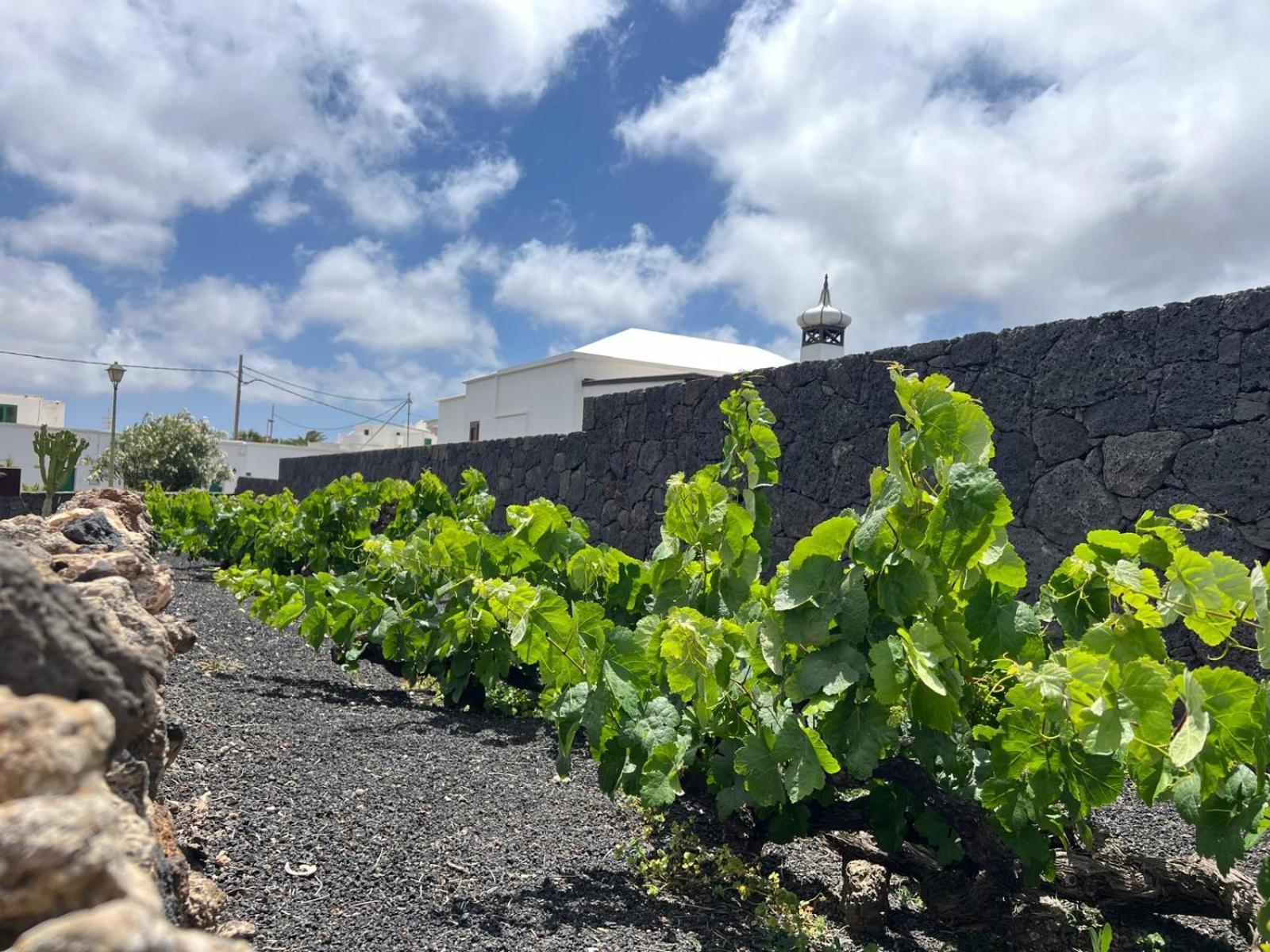 Casa Valeria Villa Tinajo Bagian luar foto